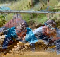 Suck It Up Buttercup Vikings Obstacle Course - Maitland Accommodation