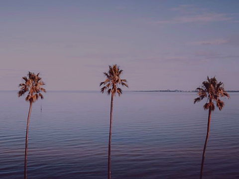 Sunset Streaming Live DJ Streams - Maitland Accommodation 0