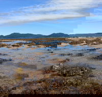 Walk to the Reef - Maitland Accommodation