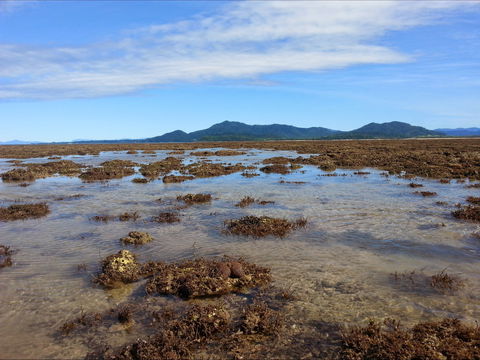 Walk To The Reef - Maitland Accommodation 0