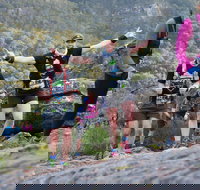 Wonderland Run - Maitland Accommodation