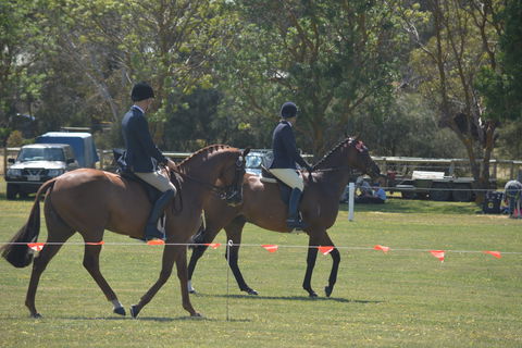 Yankalilla Show - Maitland Accommodation 2