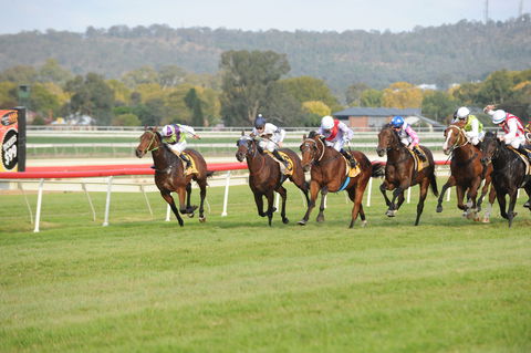 Aggies Race Day - Maitland Accommodation 0