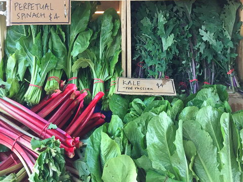 Albury Wodonga Farmers Market - Maitland Accommodation 0
