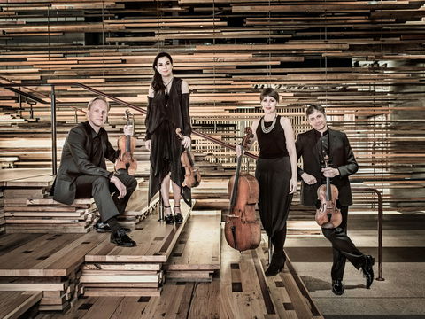 Australian String Quartet Plays Late Beethoven - Maitland Accommodation 2