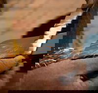 Blacksmithing 2 Day Project Workshop - Maitland Accommodation