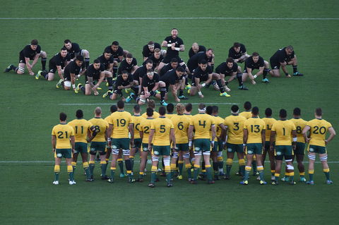Bledisloe Cup: Qantas Wallabies Versus All Blacks - Maitland Accommodation 0