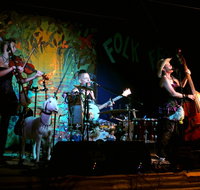 Bony Mountain Folk Festival - Maitland Accommodation