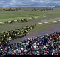 Cooma Sundowners Cup - Maitland Accommodation
