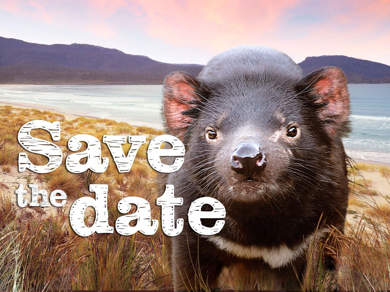 Abels Bay TAS Maitland Accommodation