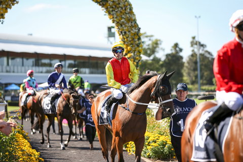 De Bortoli Wines Golden Rose Day - Maitland Accommodation 0