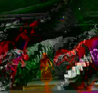 Dinomania - Postponed - Maitland Accommodation