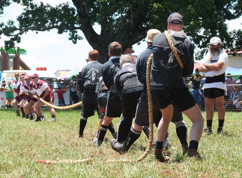 Dorrigo Agricultural Show - Maitland Accommodation 1