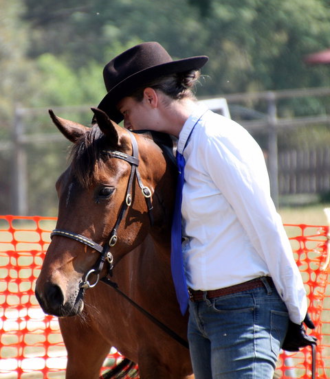 Dorrigo Agricultural Show - Maitland Accommodation 2