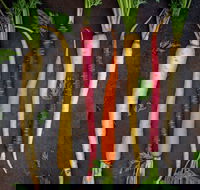 Food for Good Festival - Maitland Accommodation