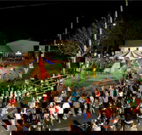 Forest Hill Christmas Festival - Maitland Accommodation