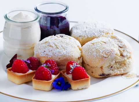 Girls Big Day Out Southern Highlands - Maitland Accommodation 0