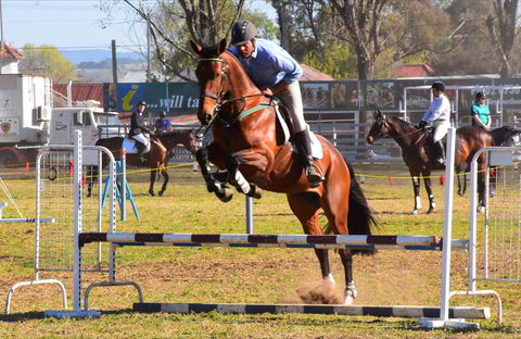 Glen Innes Pastoral And Agricultural Show - Maitland Accommodation 0