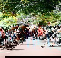 Hahndorf Christkindlmarkt - Maitland Accommodation