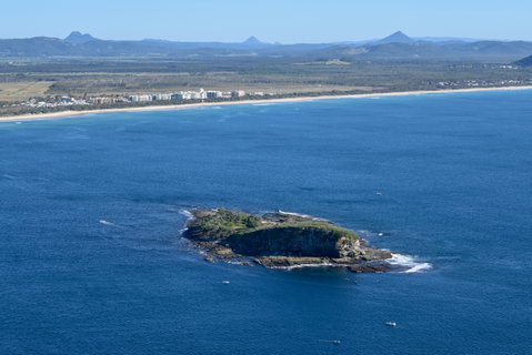 Island Charity Swim - Maitland Accommodation 0
