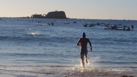 Island Charity Swim - Maitland Accommodation 1
