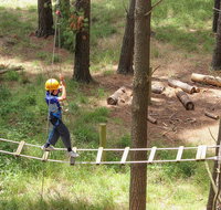 July 2020 Holidays- Go Wild at the Mt Lofty Adventure Hub - Maitland Accommodation