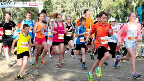MAAS Group Dubbo Stampede Running Festival - Maitland Accommodation 0