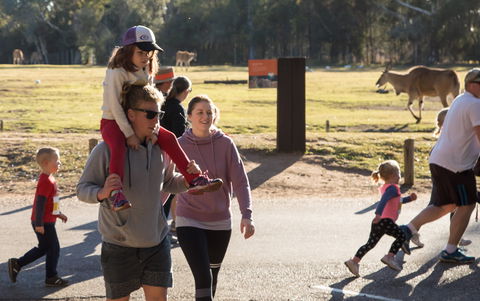 MAAS Group Dubbo Stampede Running Festival - Maitland Accommodation 1