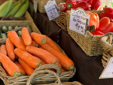 Markets In The Meadow - Maitland Accommodation 0
