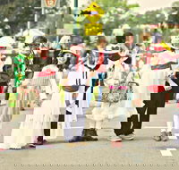 Mary Poppins Festival - Maitland Accommodation