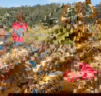 Mini Muddies Obstacle Challenge at Bunnamagoo Estate - Maitland Accommodation