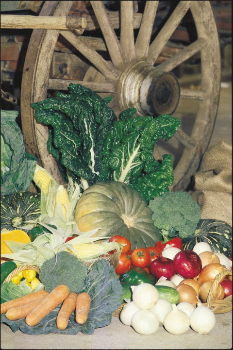 Mulgowie Real Farmers Markets - Maitland Accommodation 0