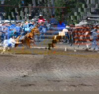 North Queensland Elite Rodeo - Maitland Accommodation