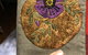 Online Live Streaming Class: Hand Embroidery Course - thumb 0