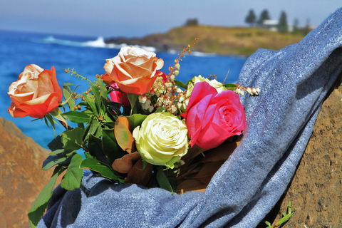 Roses By The Seaside: National Rose Championships And Conference - Maitland Accommodation 0