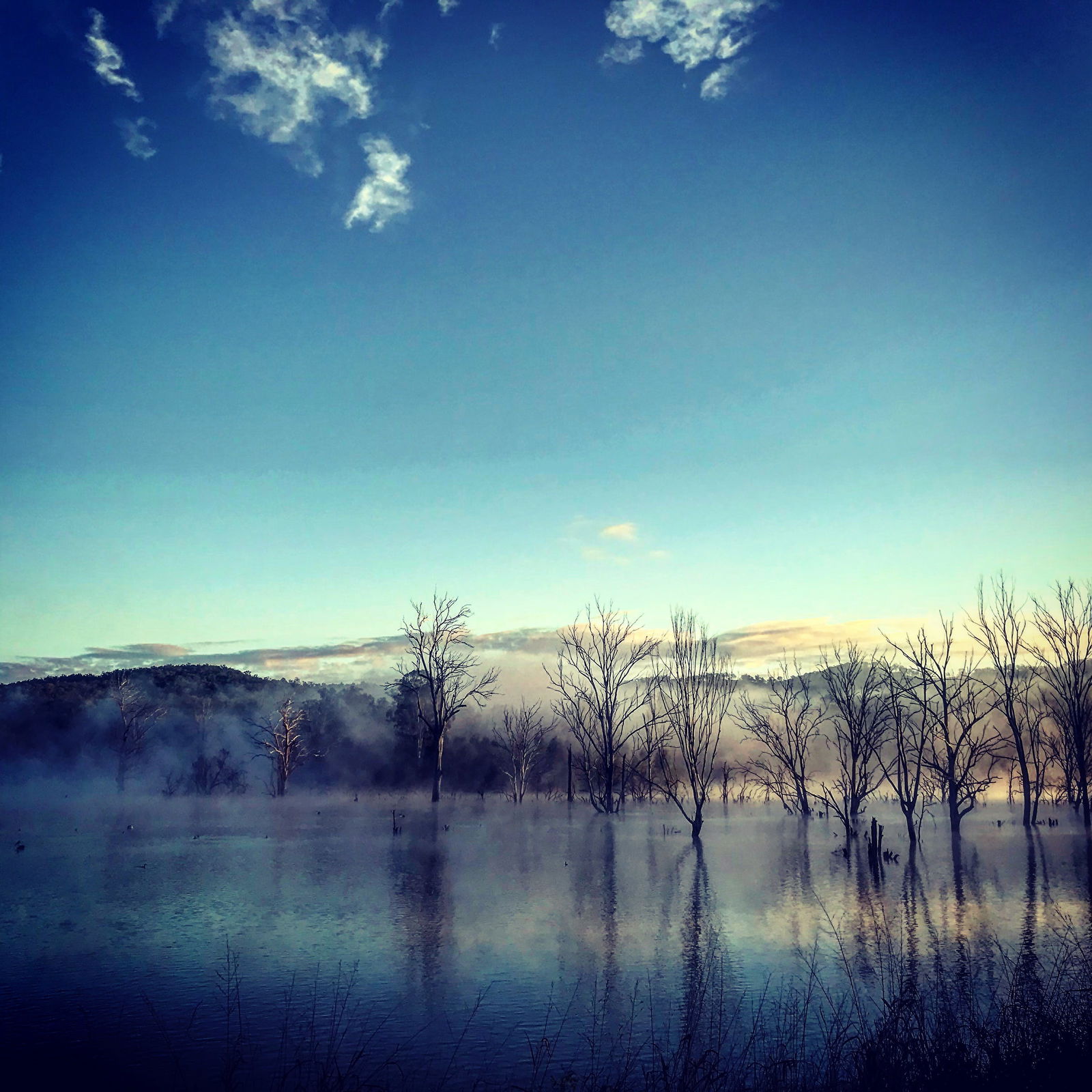 Anthony QLD Maitland Accommodation