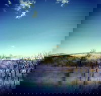 Scenic Rim Ultra - Maitland Accommodation