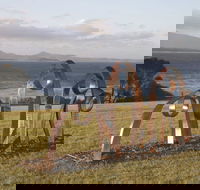 Sculpture Bermagui - Maitland Accommodation