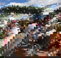 The Christmas Fair Mount Penang Gardens Kariong - Maitland Accommodation