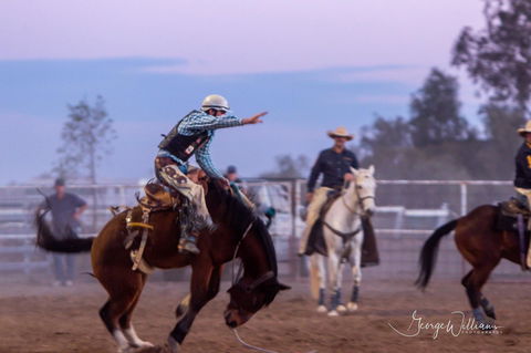 Walgett Charity Bushman's Carnival Rodeo And Campdraft - Maitland Accommodation 1