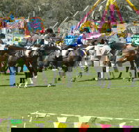 Wangaratta Show - Maitland Accommodation