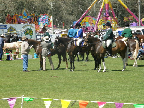 Wangaratta Show - Maitland Accommodation 0