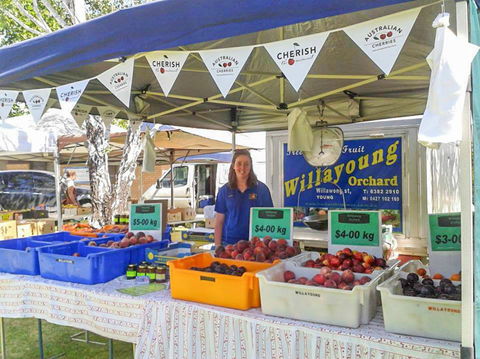 Young And Region Farmers Markets - Maitland Accommodation 1