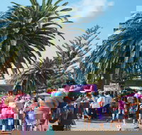 Annual Easter Show  Postponed  - Maitland Accommodation