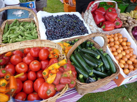 Armidale Farmers' Market - Maitland Accommodation 1