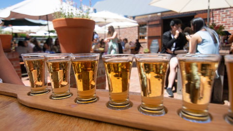 Arvo Session With Matt Joe Gow - Maitland Accommodation 0