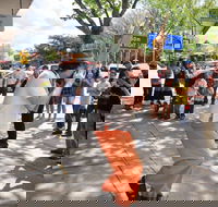 Australian National Busking Championships - Maitland Accommodation