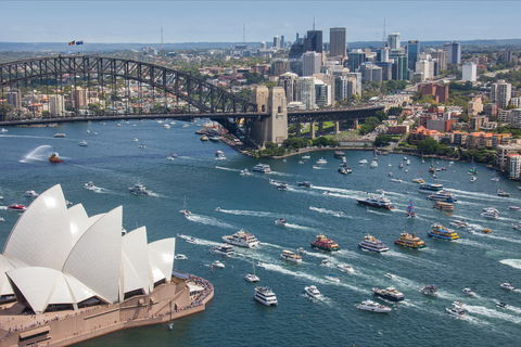Australia Day In Sydney - Maitland Accommodation 2
