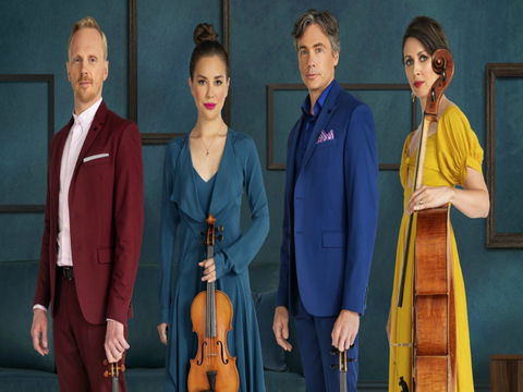 Australian String Quartet Dungog Weekend Of Music - Maitland Accommodation 0