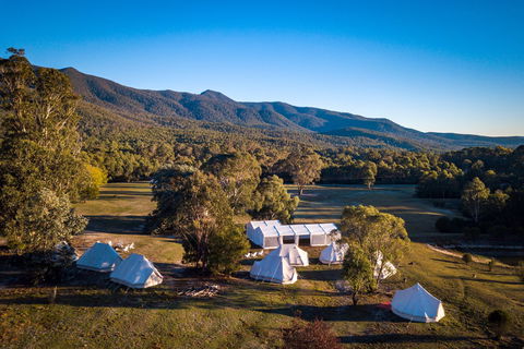 A Wild Night Out - Spring - Maitland Accommodation 5